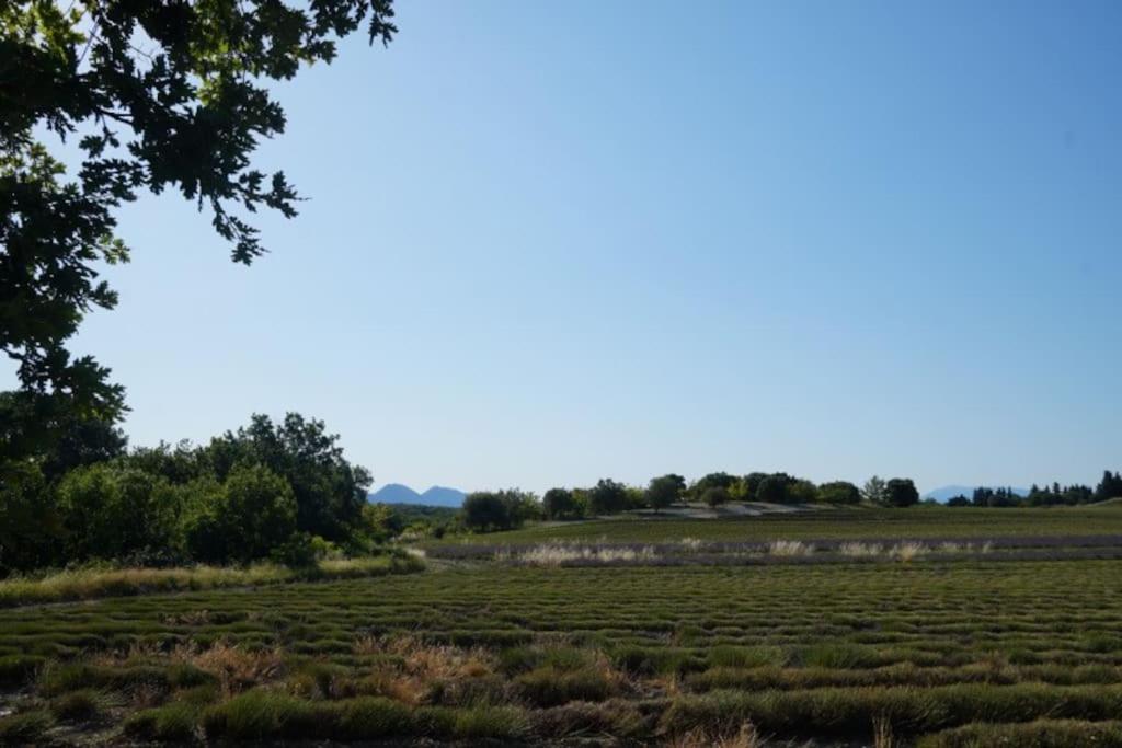 Complet - Sous Bois * Salles-sous-Bois