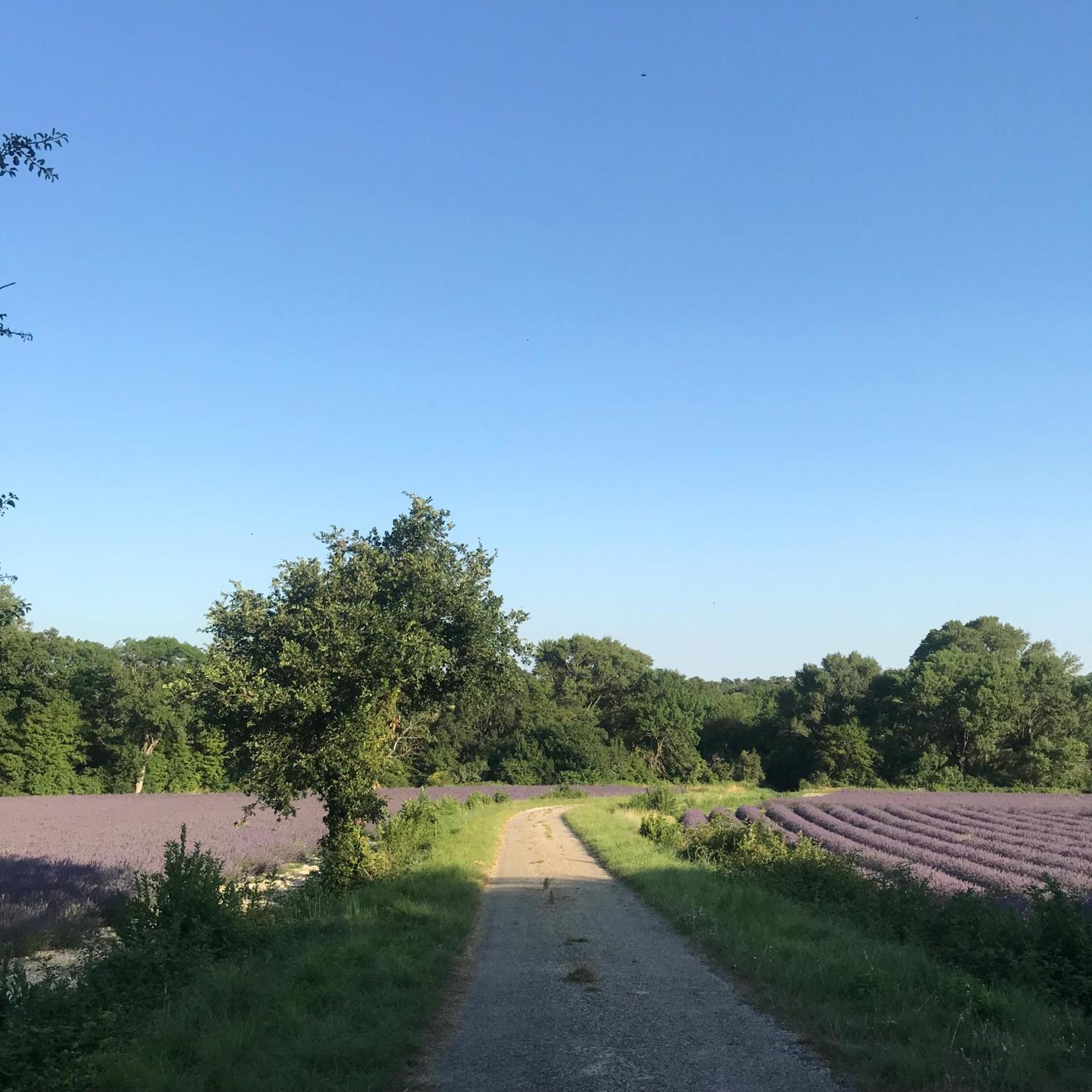 Complet - Sous Bois Salles-sous-Bois